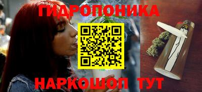 крисы Донецк