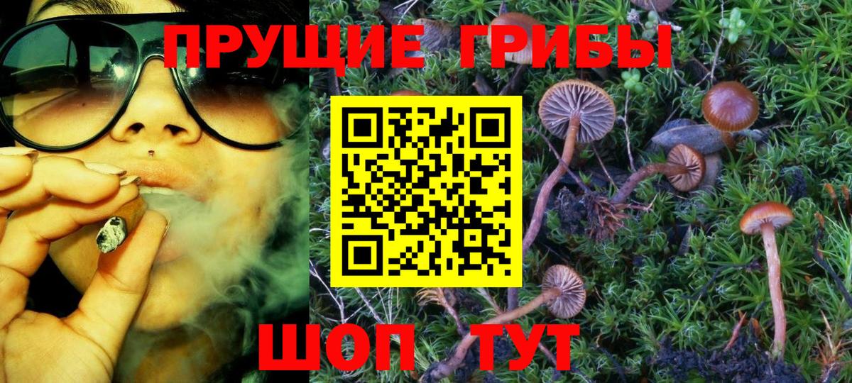 Галлюциногенные грибы Psilocybine cubensis Лянтор