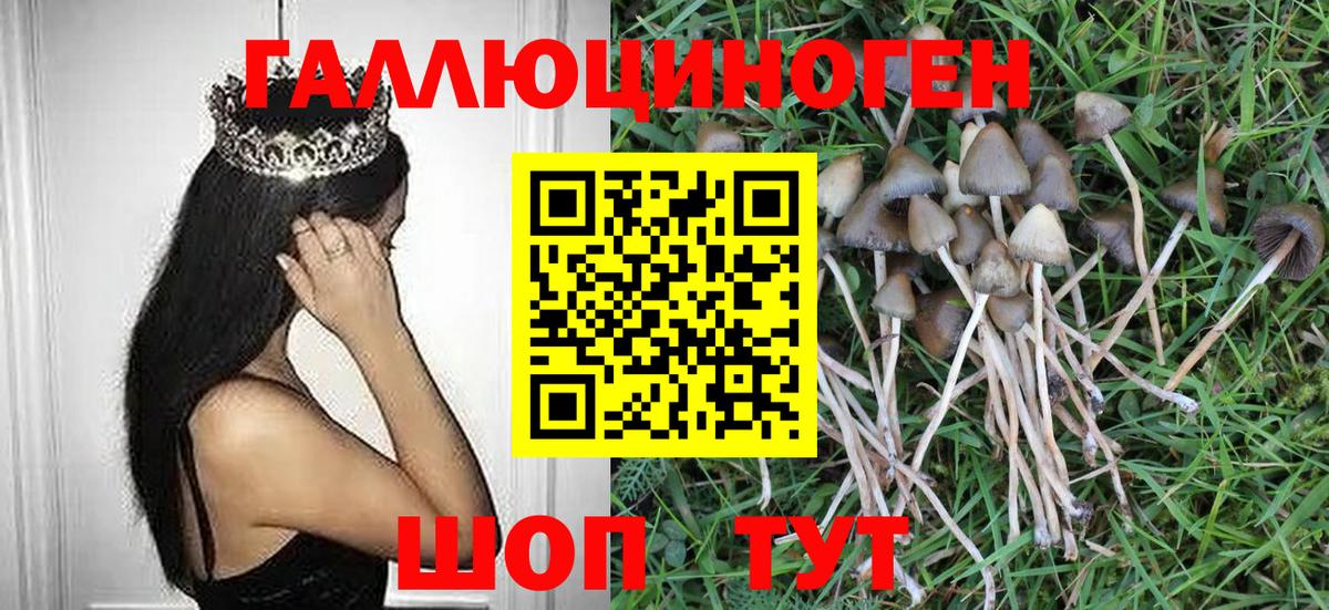 Лянтор  Галлюциногенные грибы MAGIC MUSHROOMS  купить   Вход с VPN 